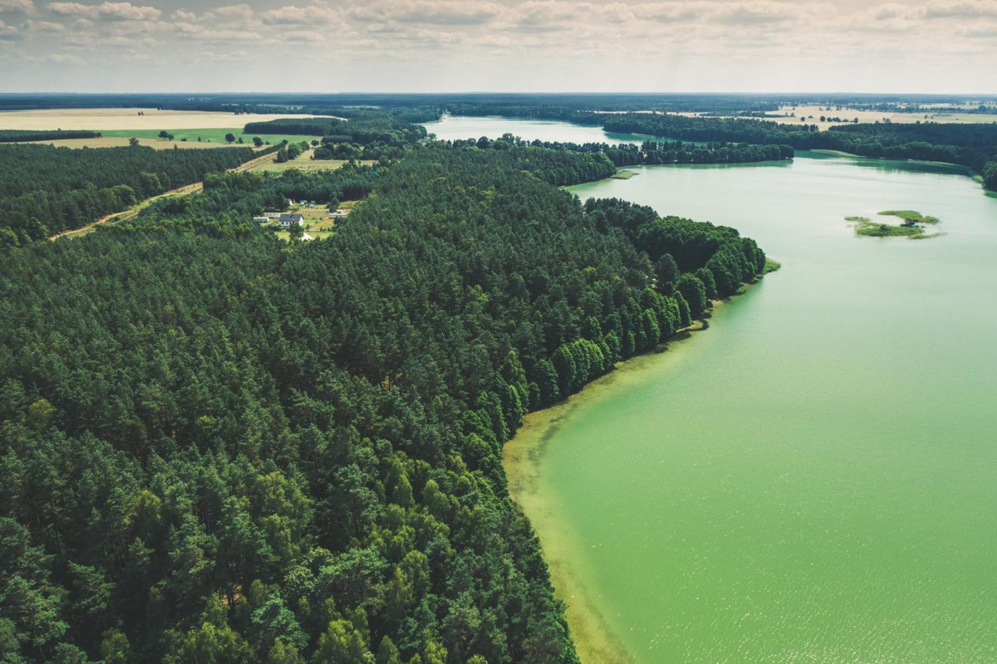 Latowisko Campsite *