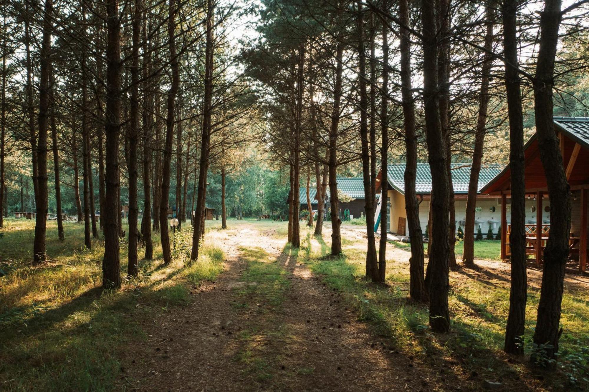 Campsite Latowisko Bialy Bor (Szczecinek)